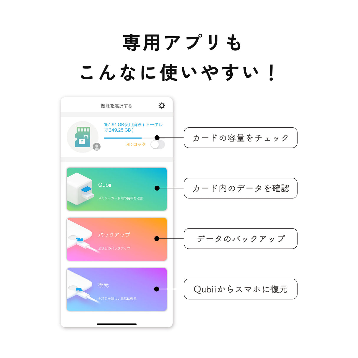 Qubii Power - microSD 256GBセット