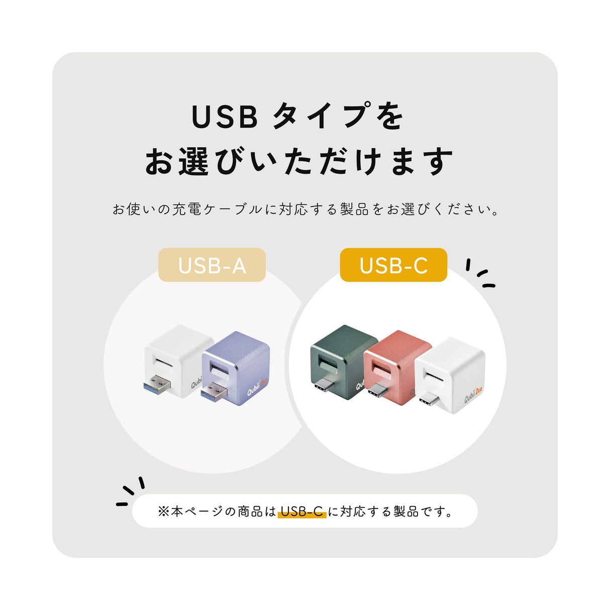 Qubii Duo（USBタイプC）- 1TB microSDセット