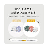 Qubii Duo（USBタイプC）- 1TB microSDセット