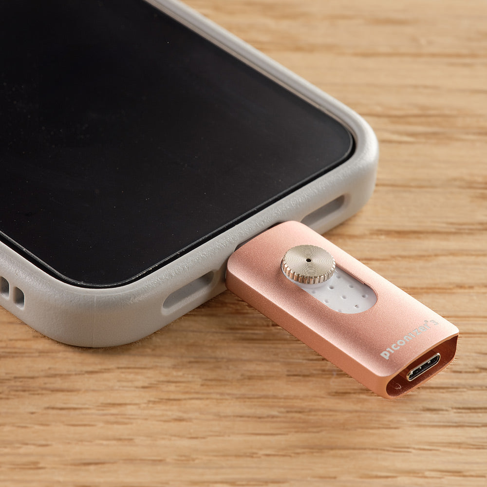ピコナイザー Piconizer3 256GB